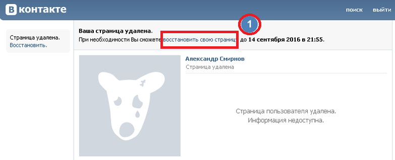 Как восстановить фотографии в вк которые удалила на странице